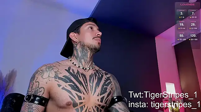 Snapshot of TigerStripes1_ chatting on 03.16.25 TigerStripes1 online show from 03.16.25