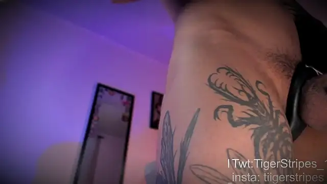 TigerStripes1  online show from 04.10.26