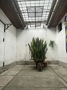 oliver price1 online show from 05.11.26