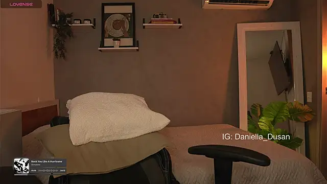 Snapshot of DaniDusan_ chatting on 01.01.25 DaniDusan  online show from 01.01.25